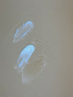 Carimo Radiance Face Cream